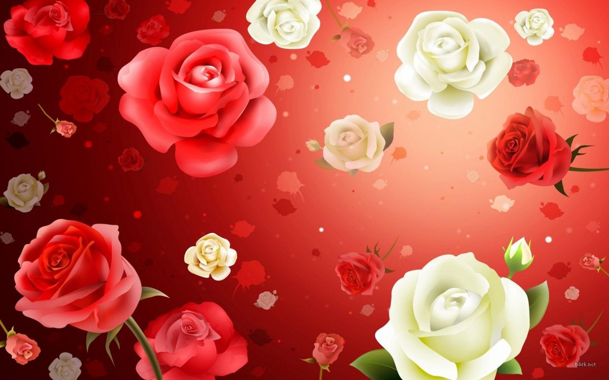 Обои Роза, цветок, красный цвет, сад роз, лепесток в разрешении 3264x2040