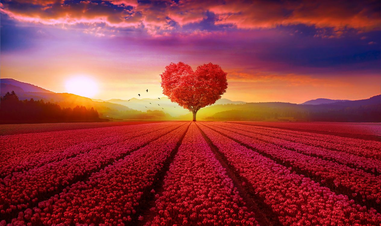 Обои природа, красный цвет, восход солнца, сердце, облако в разрешении 4300x2550