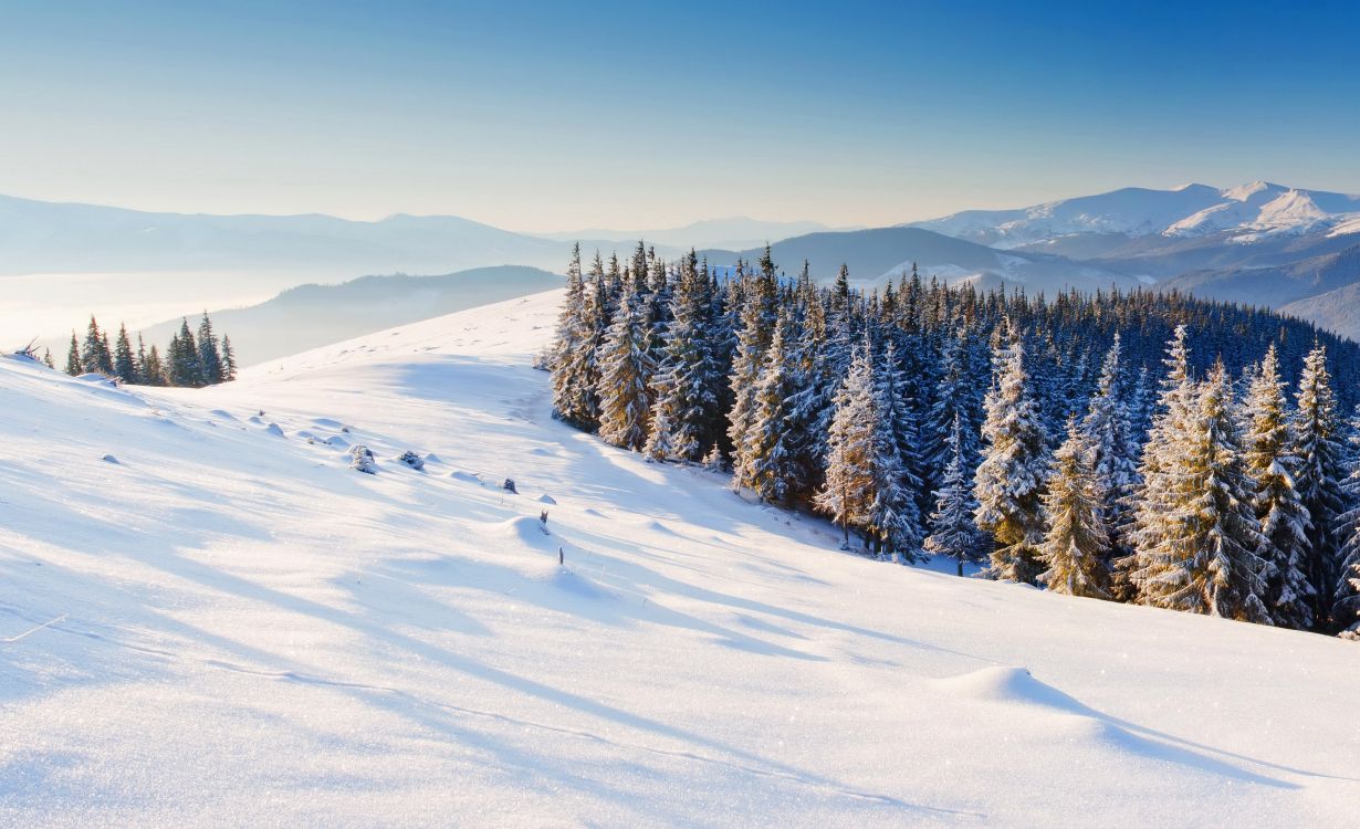 Обои зима, снег, горный рельеф, дерево, дикая местность в разрешении 3608x2200
