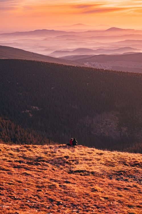 Обои сумрак, дикая местность, национальный парк, небо, дерево в разрешении 3429x5153