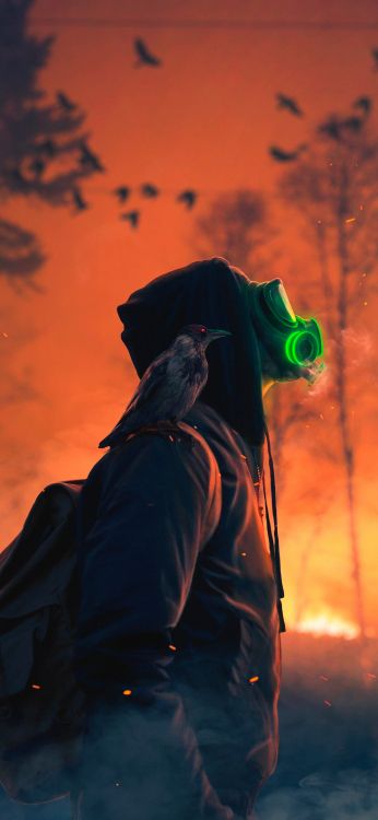 Обои Оранжевый цвет, дерево, клюв, птица, куртка в разрешении 1772x3839