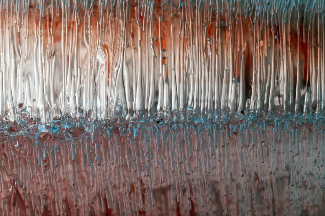 Обои вода, сезон, лес, семейство травы, бумага в разрешении 2048x1365