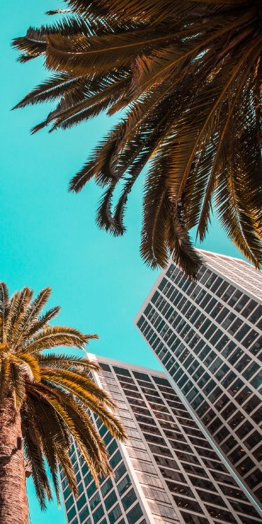 Обои дизайн, здание, дневное время, мир, свет в разрешении 1280x2560