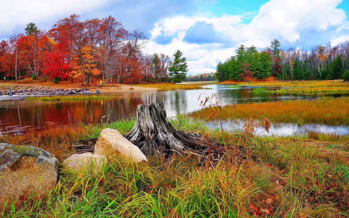 Обои USB-С, Мини-DisplayPort, природа, отражение, дикая местность в разрешении 2560x1600