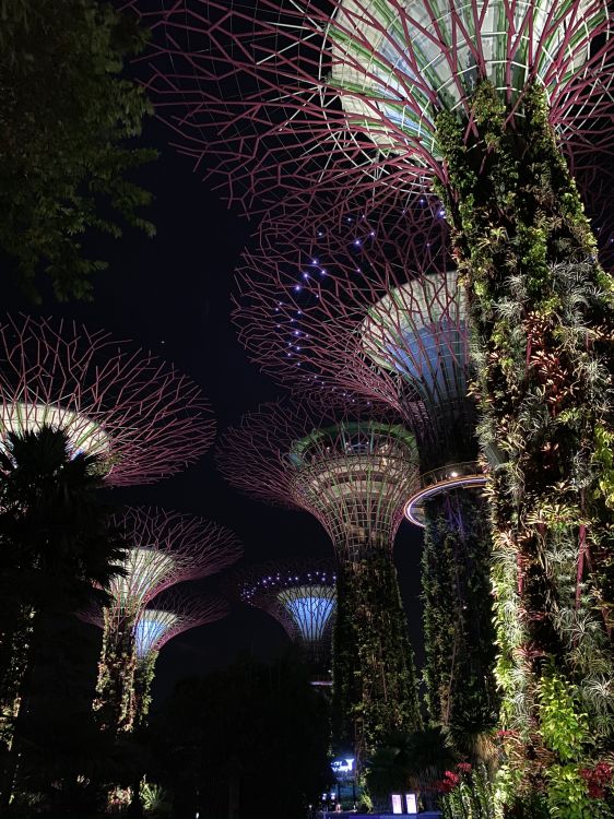 Обои Сингапур, природа, архитектура, ночь, темнота в разрешении 1536x2048