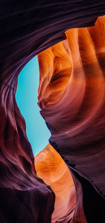 Обои infinix s4, смартфон, инфиникс, андроид, infinix hot s3x в разрешении 1420x3000