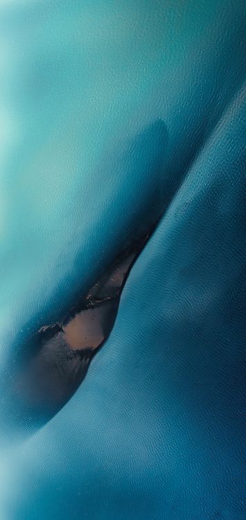 Обои вода, морская биология, растение, солнечные очки, очки защитные в разрешении 1422x3000