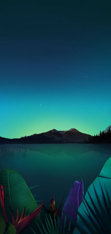 Обои LG, lgk50 обои, смартфон, вода, атмосфера в разрешении 720x1520