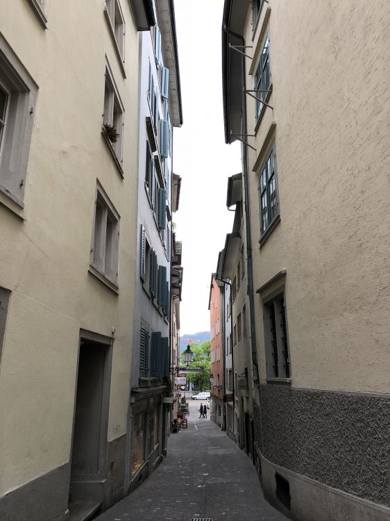 Обои аллея, дорога, окно, городок, соседство в разрешении 1536x2048