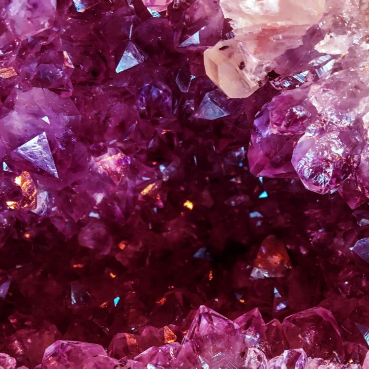 Обои Nokia, Nokia 9, сирень, Фиолетовый, пурпур в разрешении 1920x1920