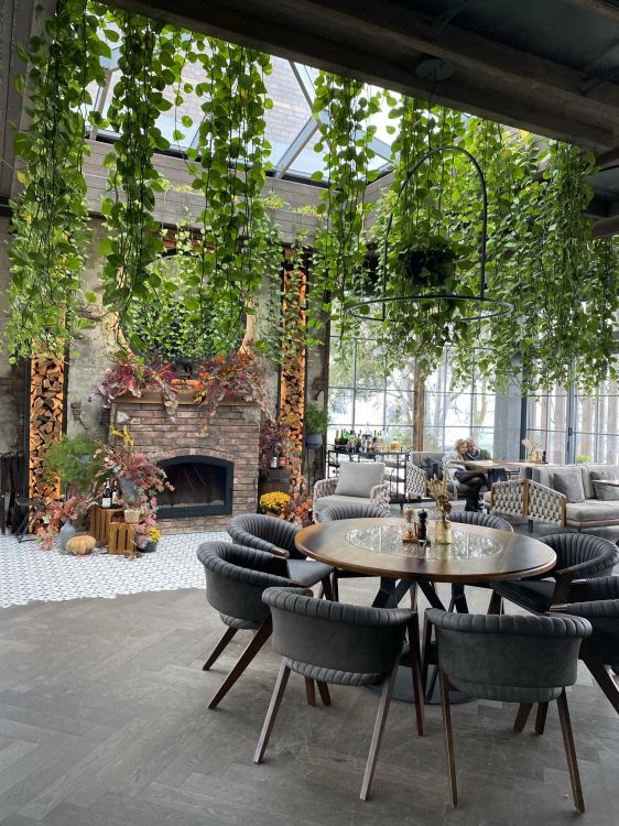 Обои таблица, патио, биология, мебель, кофейный столик в разрешении 1536x2048