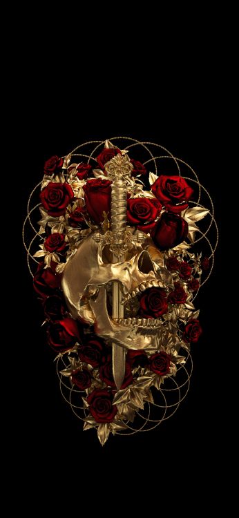 Обои даже лучше, арт, артист, Череп арт, иллюстрация в разрешении 1080x2340