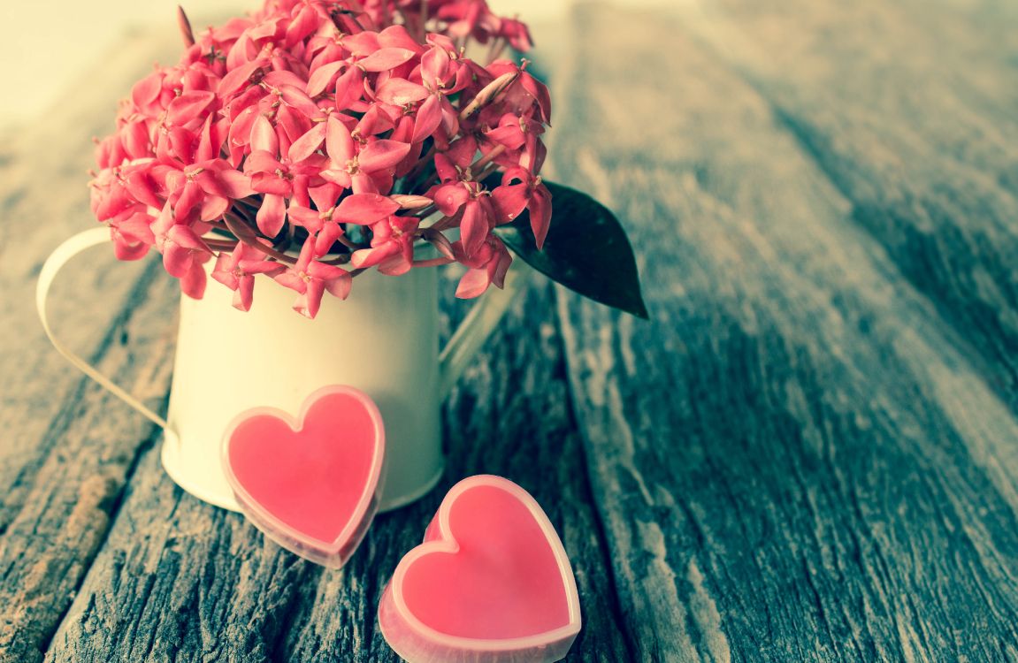 Обои День Святого Валентина, розовый, цветок, любовь, лепесток в разрешении 4807x3132