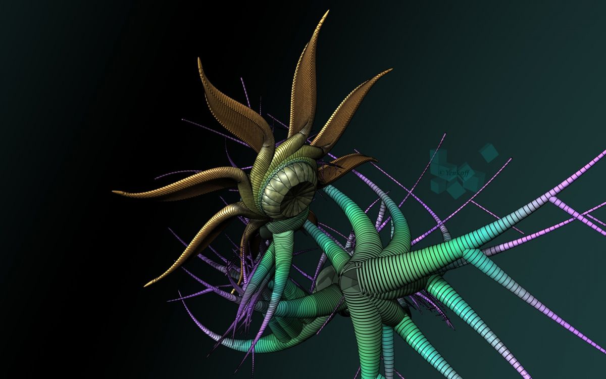 Обои растение, насекомое, макросъемка, компьютер, тьма в разрешении 1920x1200