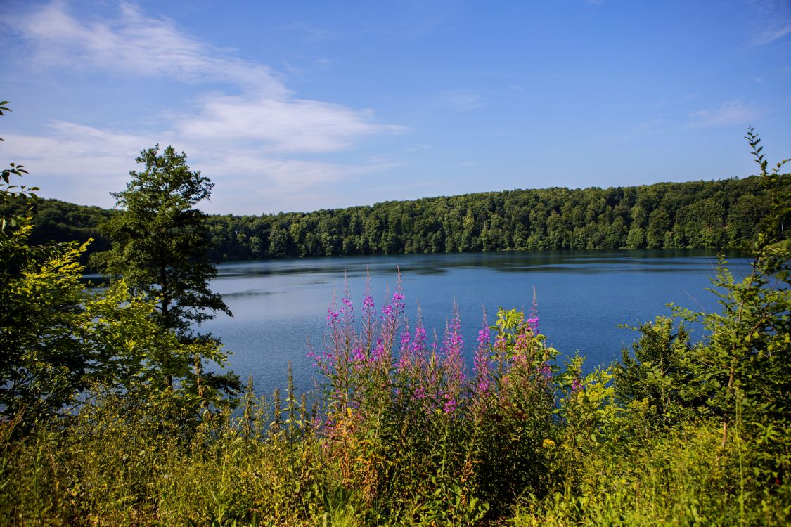 Обои природа, озеро, дикая местность, вода, природный заповедник в разрешении 3072x2047