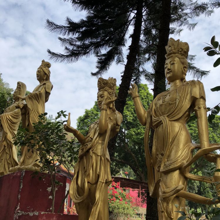 Обои статуя, Гаутама Будда, голова, природа, растительность в разрешении 1772x1772