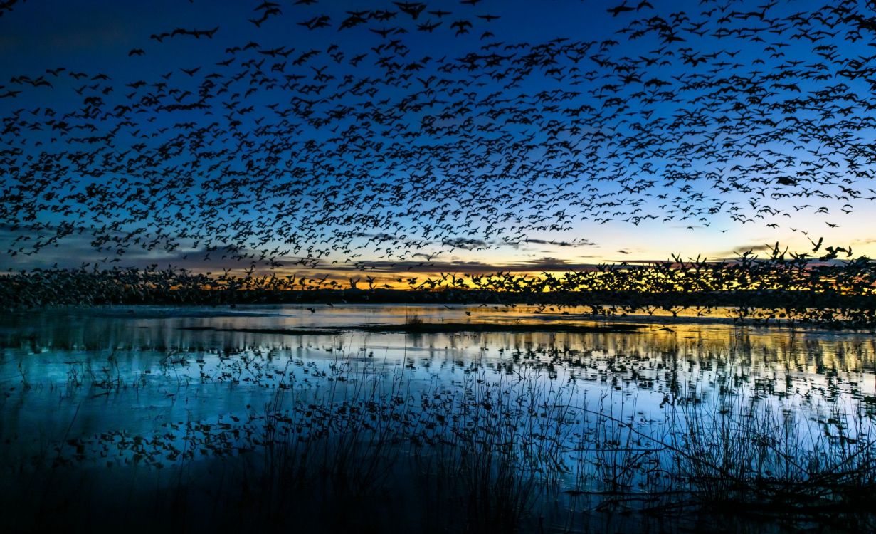 Обои природа, синий, вода, отражение, природный ландшафт в разрешении 2560x1559