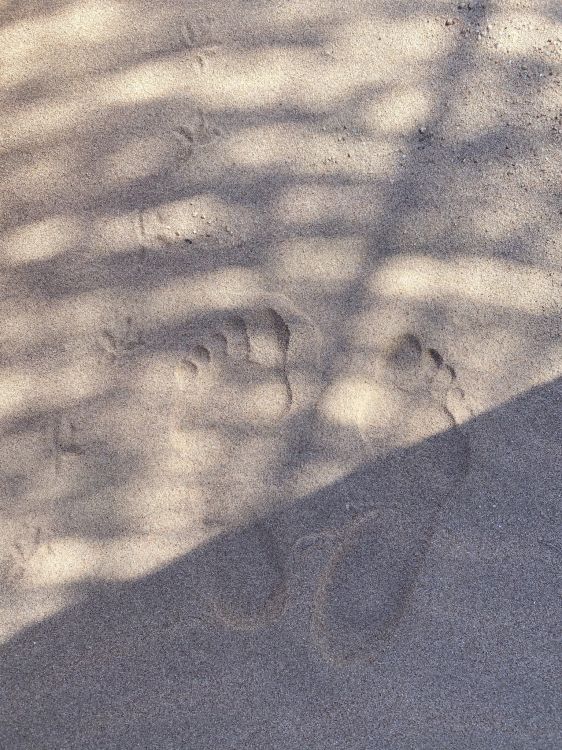 Обои атмосфера, дорожное покрытие, древесина, автомобильные шины, асфальт в разрешении 1536x2048