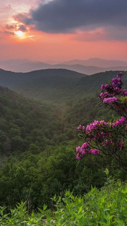 Обои природа, растительность, природный ландшафт, горный рельеф, гора в разрешении 1080x1920