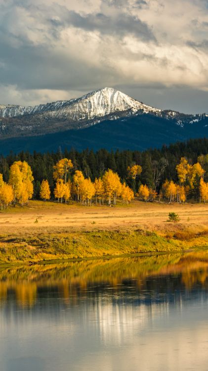 Обои отражение, облако, вода, растение, дневное время в разрешении 1080x1920