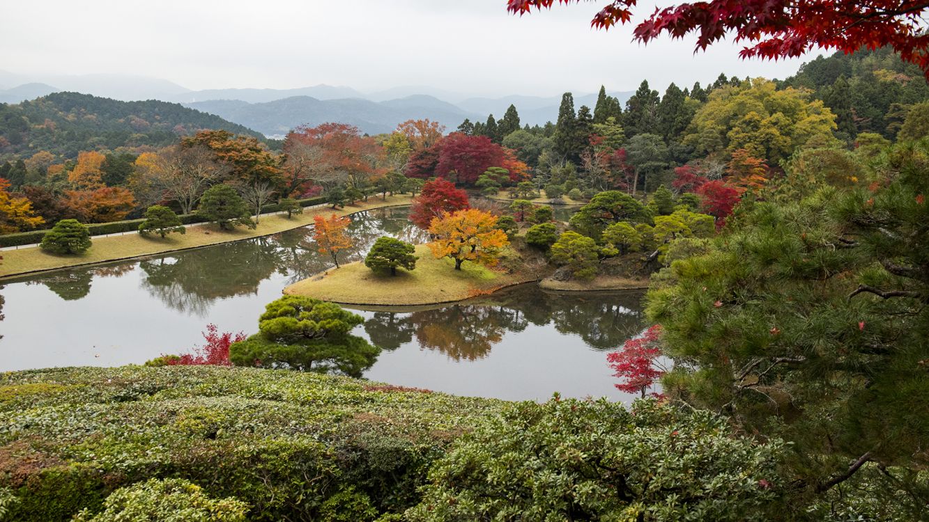 Обои природа, лист, дерево, отражение, сад в разрешении 2560x1440