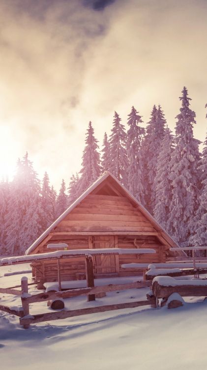 Обои зима, дерево, небо, стена, macbook в разрешении 1080x1920