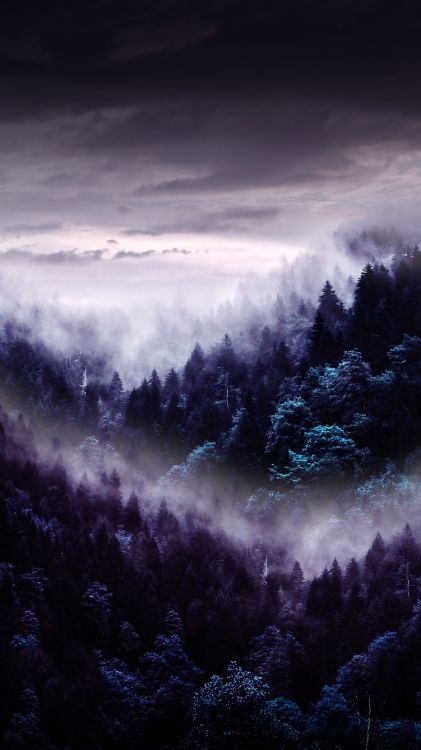 Обои атмосфера, облако, природный ландшафт, дерево, гора в разрешении 4320x7680