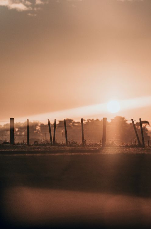 Обои горизонт, здание, закат, атмосфера, вечер в разрешении 2657x4016