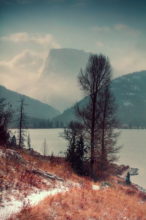 Обои природа, дерево, природный ландшафт, дикая местность, зима в разрешении 5792x8688