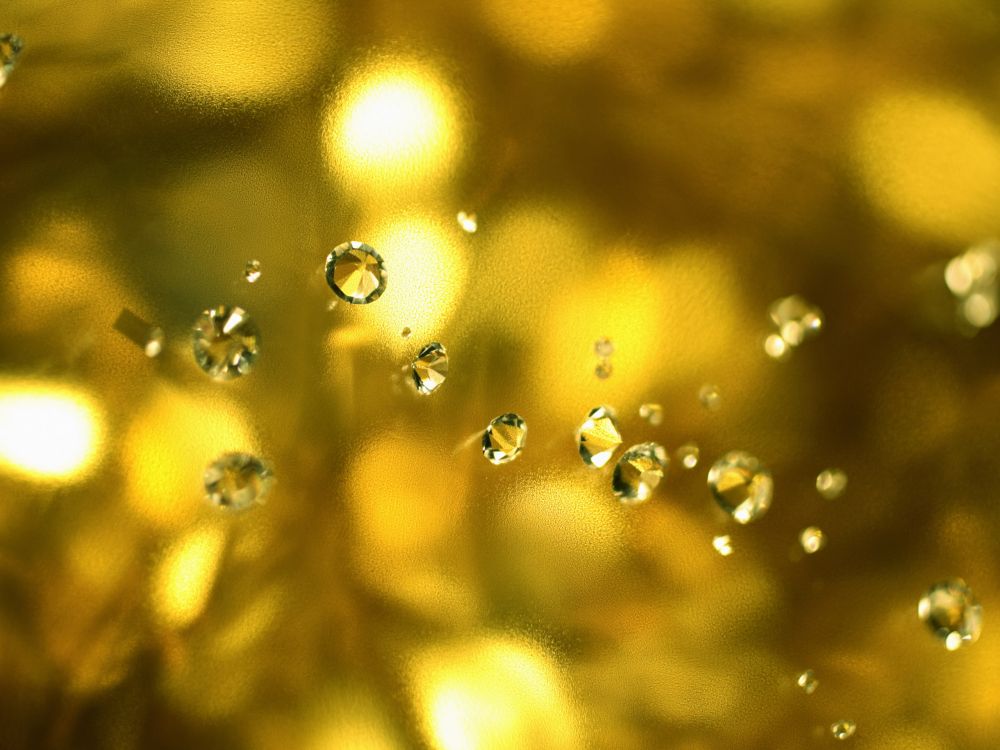 Обои роса, желтый, влага, вода, солнечный свет в разрешении 2560x1920