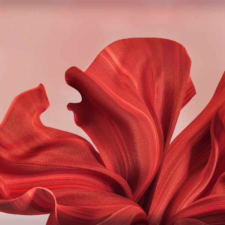 Обои асус зенфон 10, asus, fhd, зенфон 10, смартфон в разрешении 2400x2400