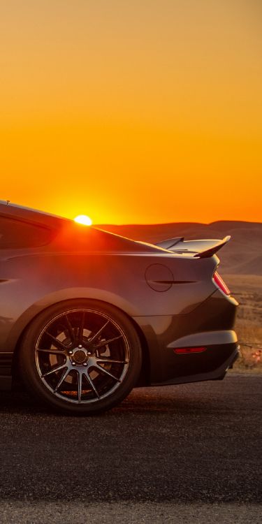 Обои отражение, спорткар, легковые автомобили, Эскондидо авто суперцентр, колесо в разрешении 1280x2560