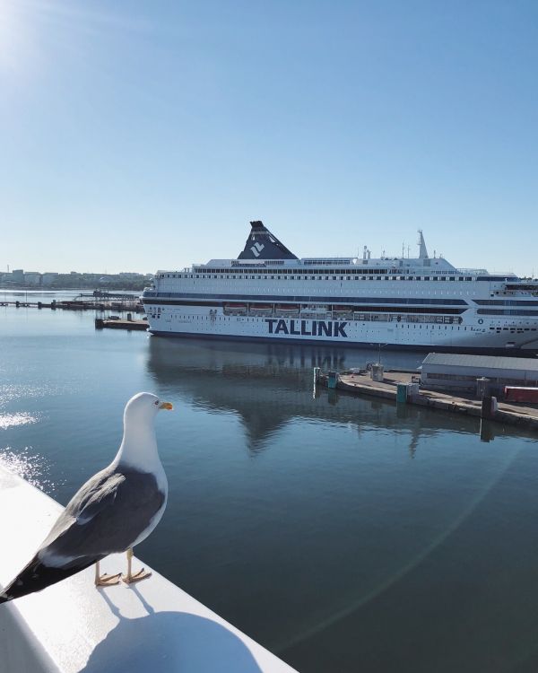 Обои турку аэропорт, паром, перевозка воды, вода, теплоход в разрешении 1080x1350