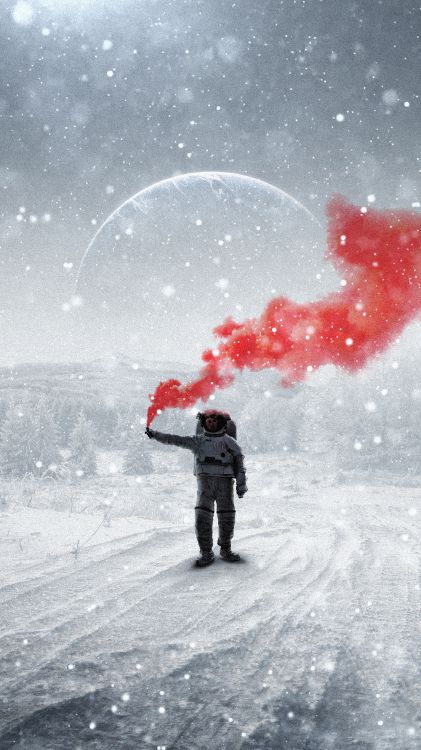 Обои снег, Люди в природе, зонтик, замораживание, растение в разрешении 3240x5760