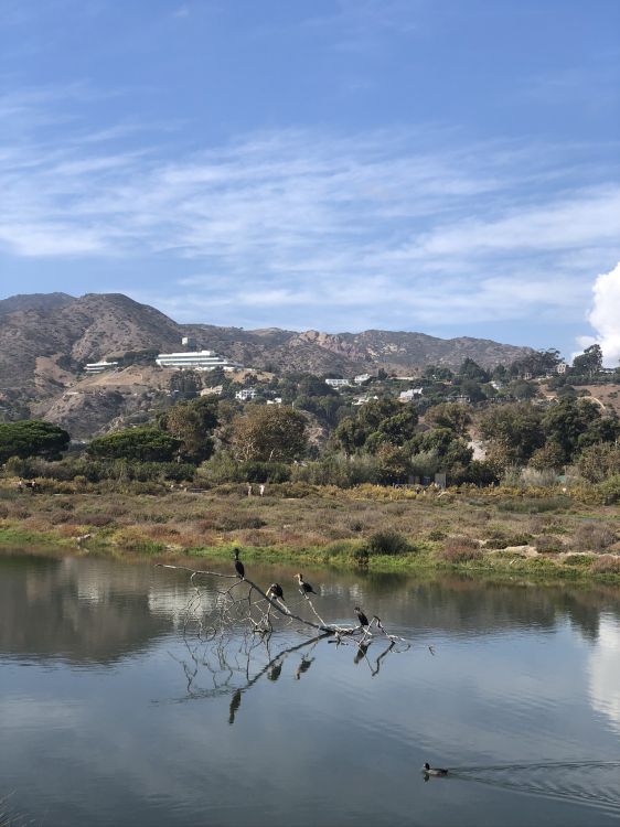 Обои отражение, облако, гидроресурсы, природный ландшафт, вода в разрешении 1536x2048