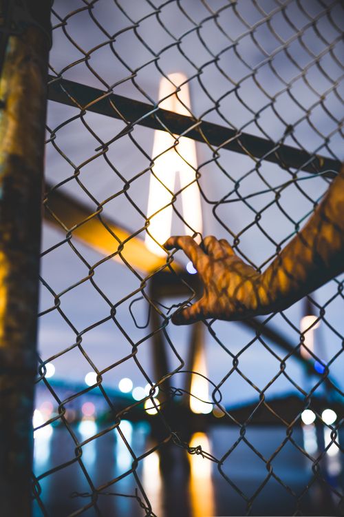 Обои ограждать провода, ячейка, дерево, зоопарк, забор в разрешении 3667x5500