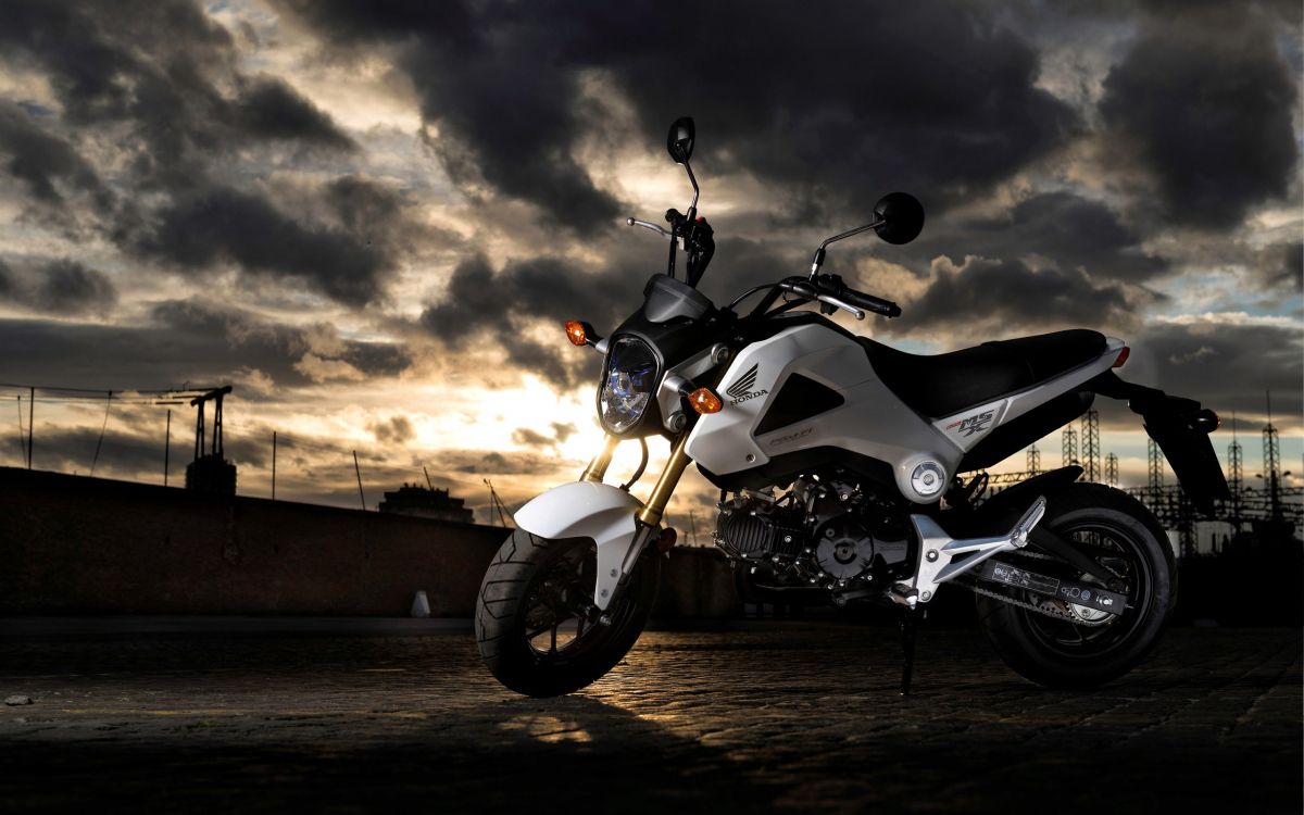 Обои для MSX 125, Honda Motor Company, мотоцикл, авто, мотоспорт в разрешении 2560x1600