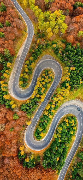 Обои asus, Asus ZenFone, Asus ZenFone 6, zenfone 6, андроид в разрешении 1080x2340