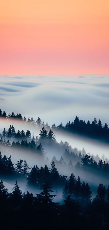 Обои облако, атмосфера, дневное время, экорегион, природный ландшафт в разрешении 1420x3000