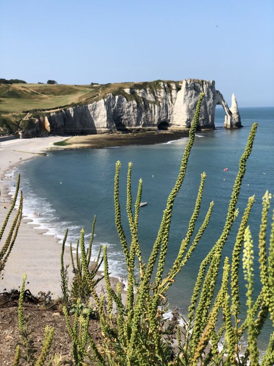 Обои Авальская скала, вода, водоем, побережье, берег в разрешении 1536x2048