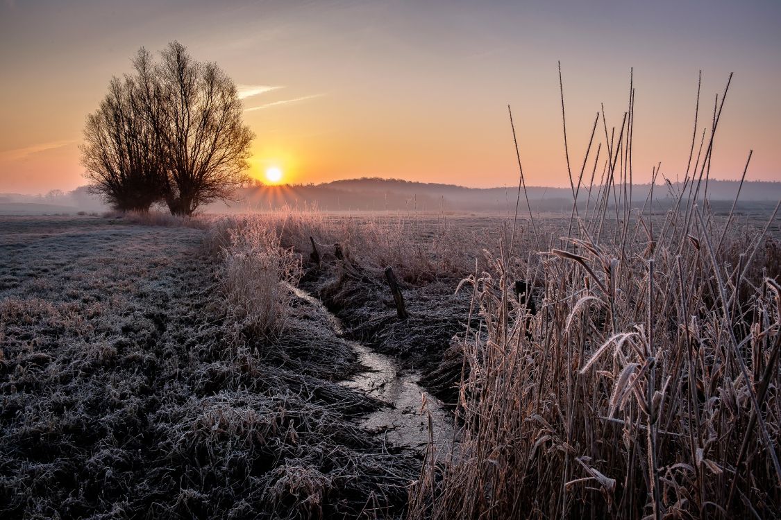Обои природный ландшафт, атмосфера, пейзаж, горизонт, восход солнца в разрешении 4896x3264