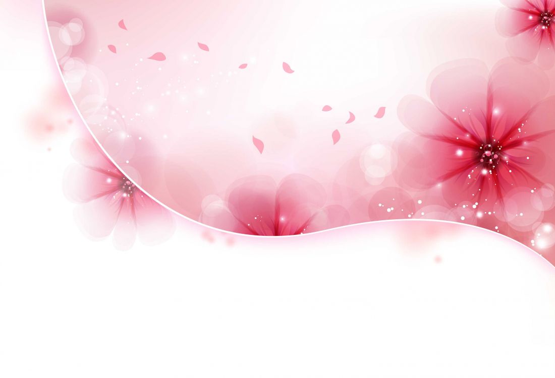 Обои цвет, розовый, сердце, цветок, лепесток в разрешении 3300x2248