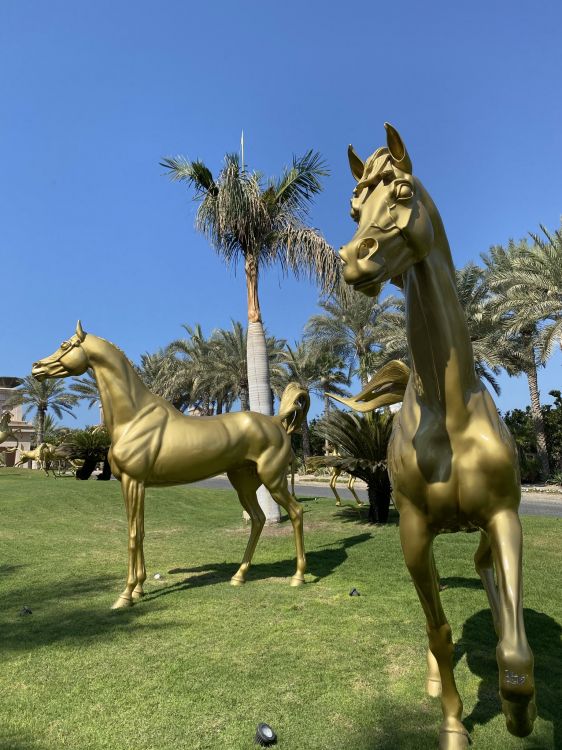 Обои жеребец, Мустанг, жеребенок, кобыла, экосистема в разрешении 1536x2048