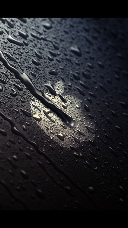 Обои apple, черный, вода, лист, монохромный в разрешении 1127x2000