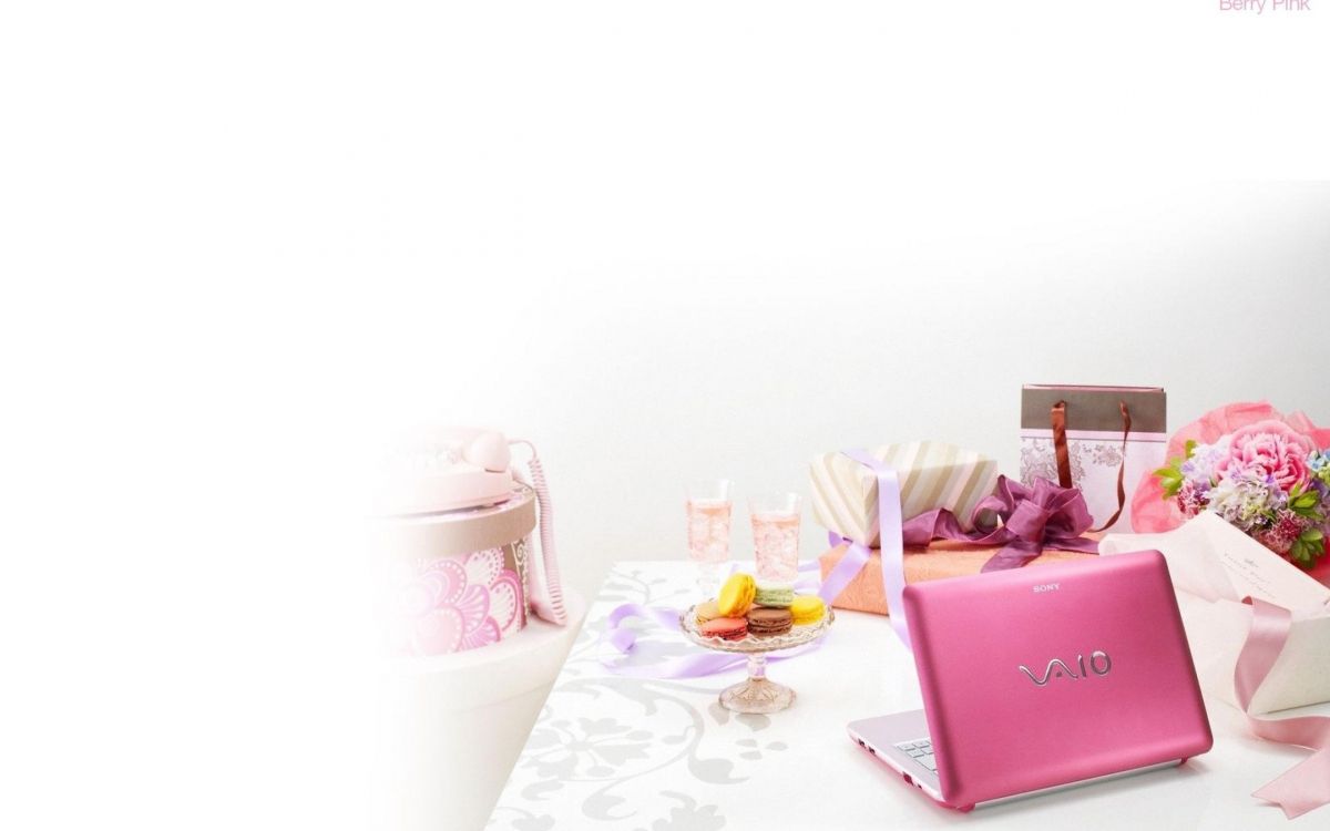 Обои vaio, розовый, подарок, лепесток, аромат в разрешении 2560x1600