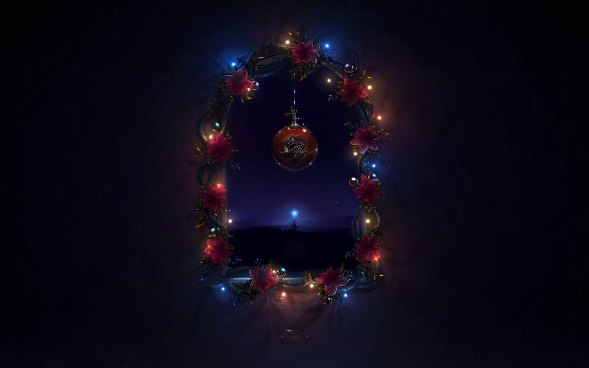 Обои Рождественский день, праздник, елка, свет, темнота в разрешении 2560x1600