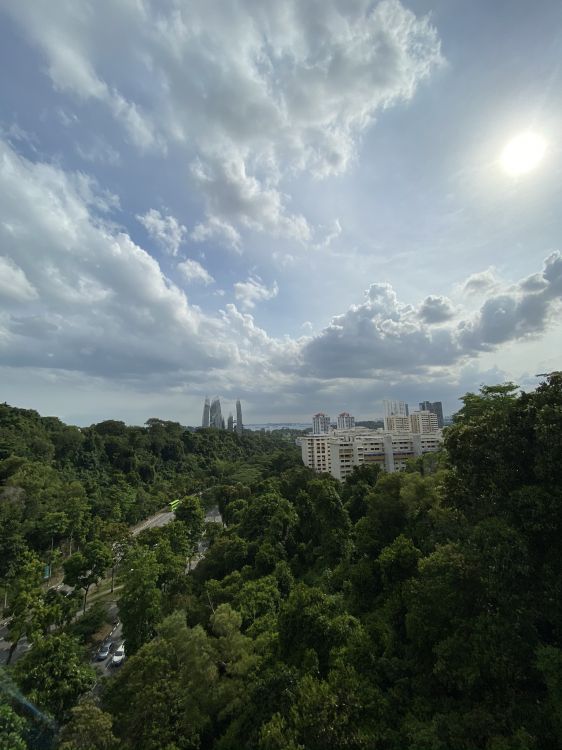 Обои растительность, дневное время, вышка, городской район, кучевое облако в разрешении 1536x2048