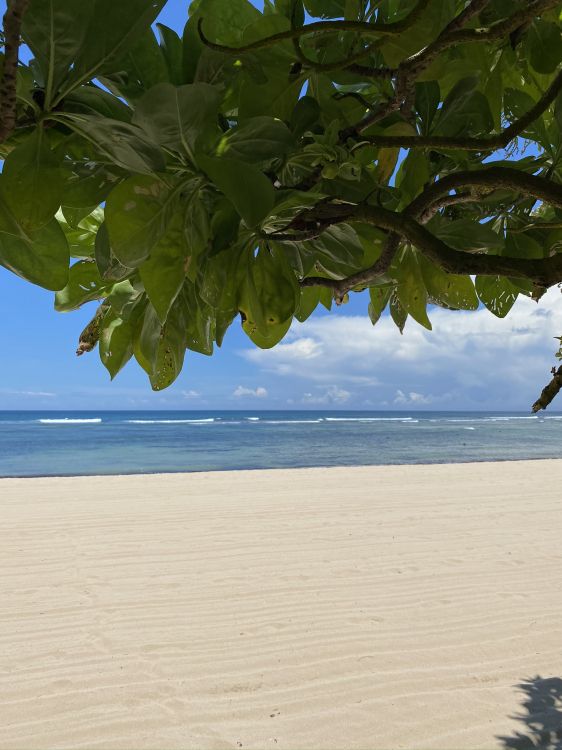 Обои вода, биология, наука, рассада, водоем в разрешении 1536x2048