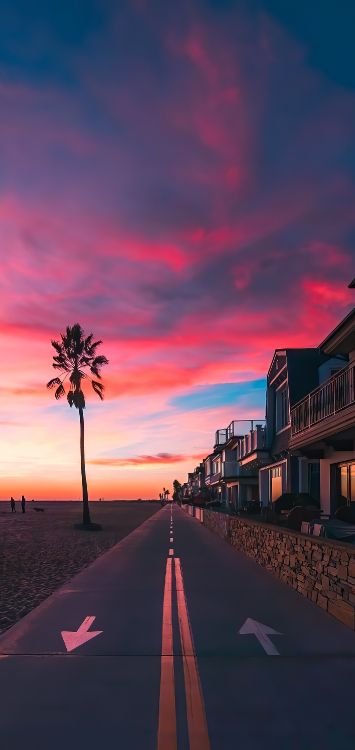 Обои Пальма, облако, атмосфера, дерево, послесвечение в разрешении 1420x3000