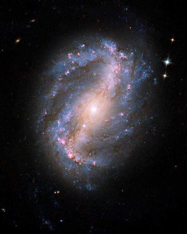 Обои Спиральная галактика с перемычкой ngc 6217, звезда, Галактика, спиральная Галактика, нгк 6217 в разрешении 2100x2625
